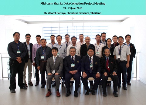 Hợp tác quốc tế về thu thập dữ liệu cá đuối, cá mập
