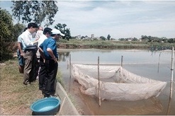 Hội thảo tập huấn đầu bờ kỹ thuật nuôi thương phẩm rạm tại Kim Sơn, Ninh Bình