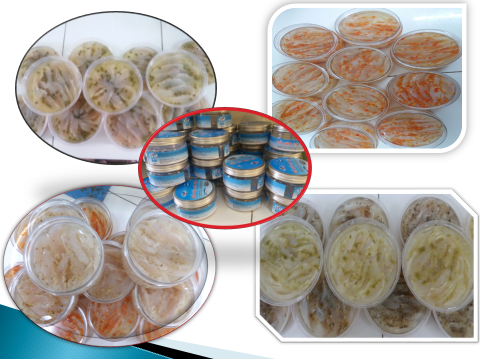 Hội nghị nghiệm thu cơ sở đề tài cấp Quốc gia “Nghiên cứu ứng dụng công nghệ sinh học để sản xuất cá hộp không thanh trùng từ cá tra và cá ba sa” 