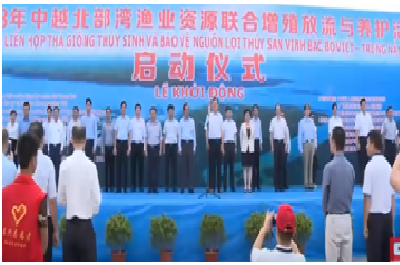 Lễ khởi động thả giống tái tạo nguồn lợi hải sản trong vịnh Bắc Bộ tại Đông Hưng, Trung Quốc