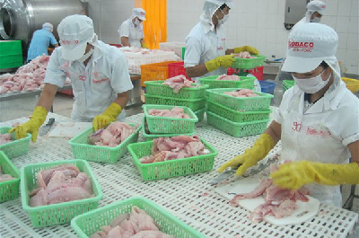 Công tác quản lý chất lượng, an toàn thực phẩm nông lâm thủy sản đạt kết quả tích cực 