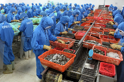 Năm 2020: Cơ hội mở rộng thị trường xuất khẩu thủy sản sang Bra-xin 