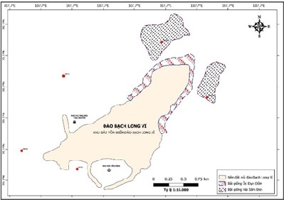 Giải pháp bảo tồn bãi giống định cư hải sản quý hiếm ở Hải Phòng gắn với sự tham gia của cộng đồng