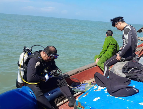 Xây dựng cơ sở dữ liệu đa dạng sinh học và môi trường phục vụ thành lập khu bảo tồn biển Hòn Ngư - Đảo Mắt, tỉnh Nghệ An