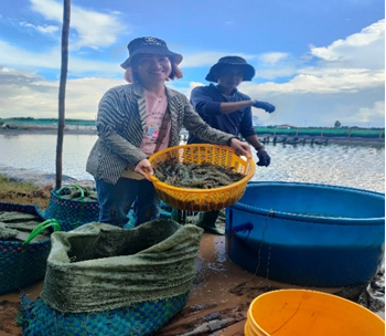 Giải pháp xây dựng mô hình nuôi cá măng kết hợp với tôm sú trong ao đất tại tỉnh Bến Tre